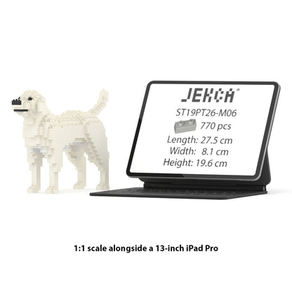 Chien Labrador Retriever crème