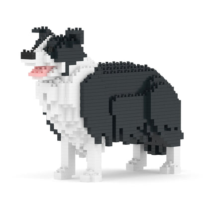 Chien Border Collie noir