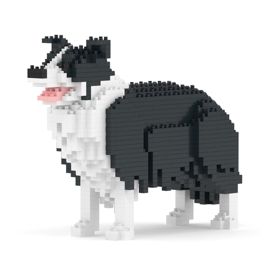 Chien Border Collie noir