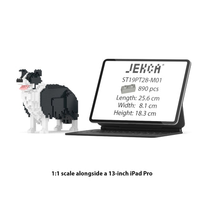 Chien Border Collie noir