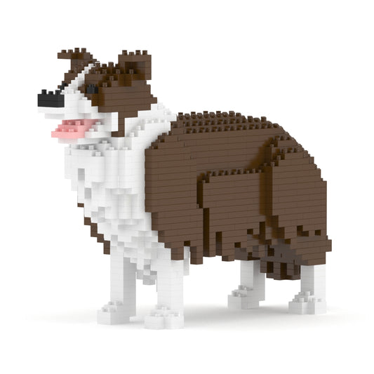 Chien Border Collie marron