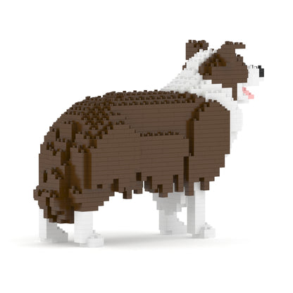 Chien Border Collie marron