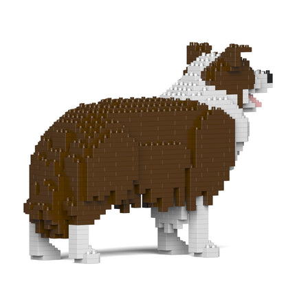 Chien Border Collie marron