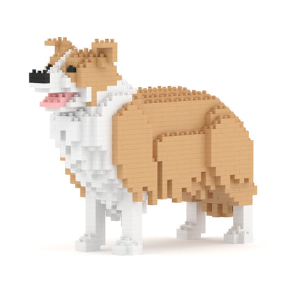 Chien Border Collie beige
