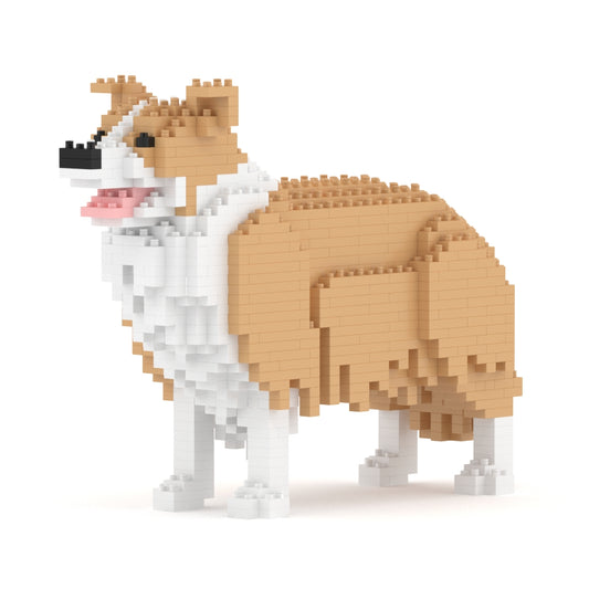 Chien Border Collie beige