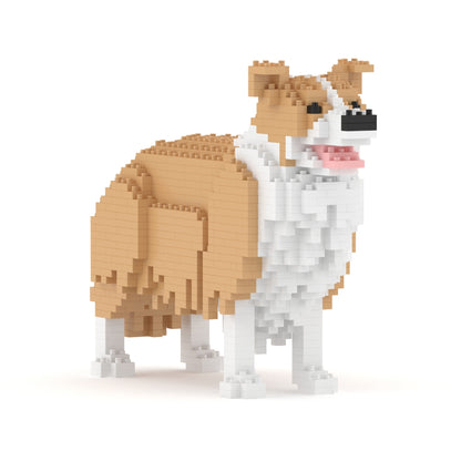 Chien Border Collie beige