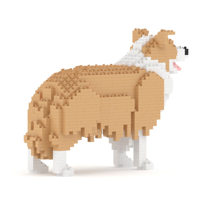 Chien Border Collie beige
