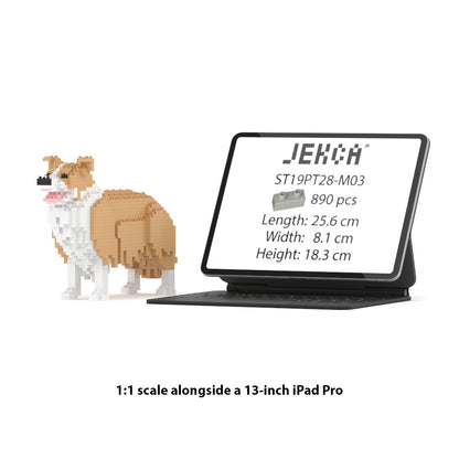Chien Border Collie beige