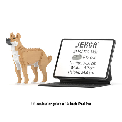 Chien Bâtard beige