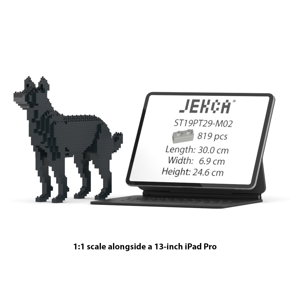 Chien Bâtard noir
