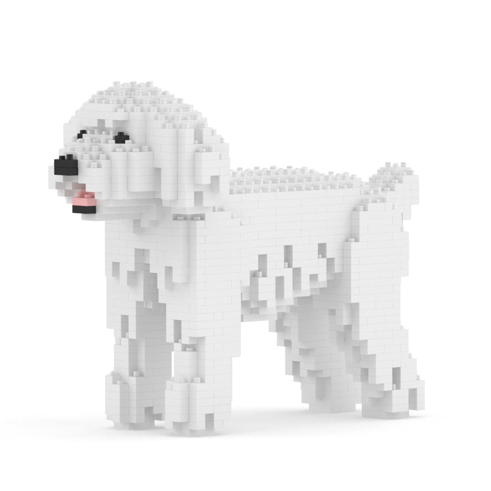 Chien Caniche Nain blanc