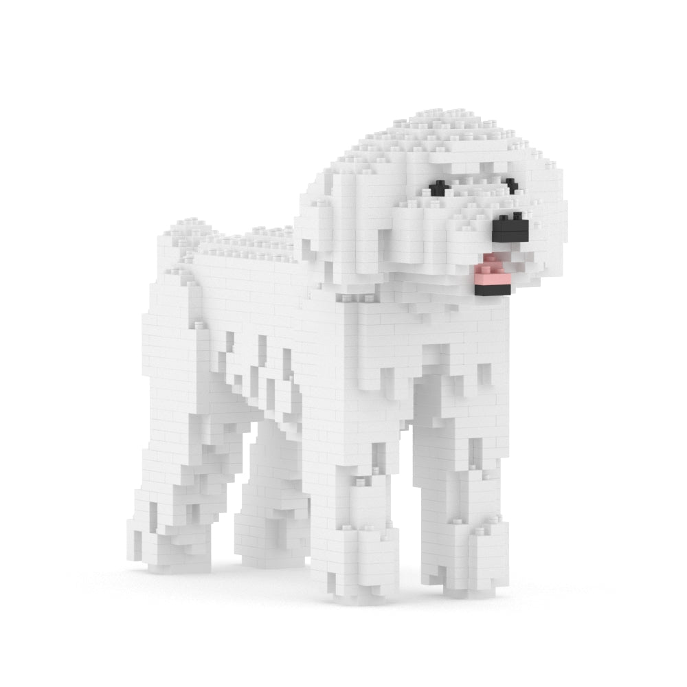 Chien Caniche Nain blanc