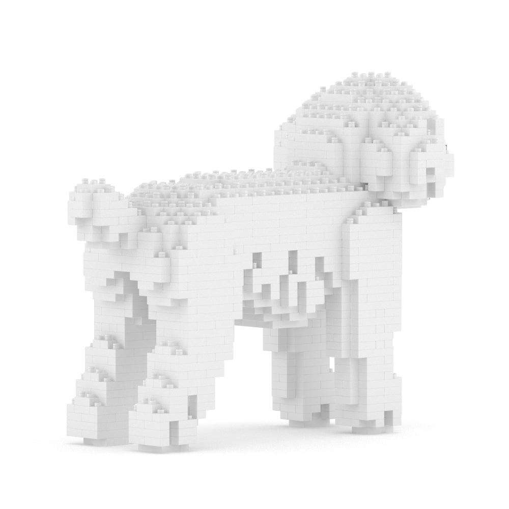 Chien Caniche Nain blanc