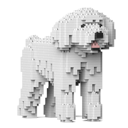 Chien Caniche Nain blanc