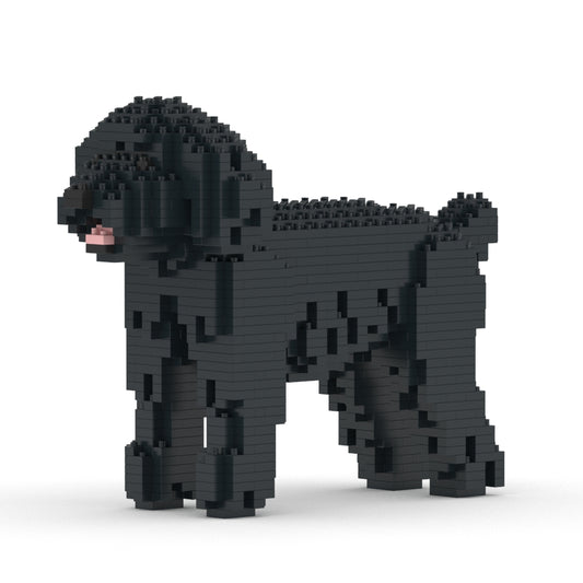 Chien Caniche Nain noir