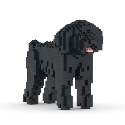 Chien Caniche Nain noir