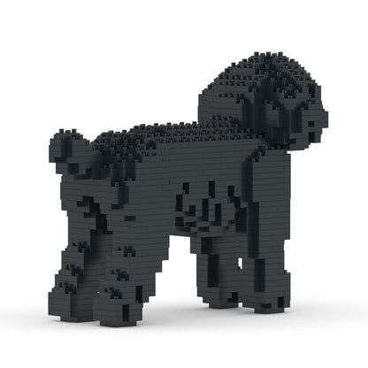 Chien Caniche Nain noir
