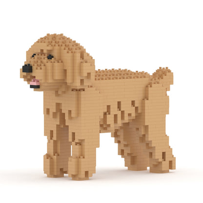 Chien Caniche Nain beige