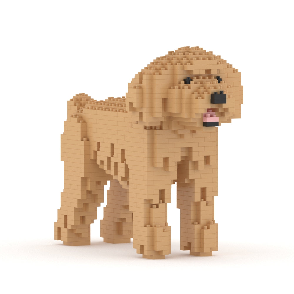 Chien Caniche Nain beige