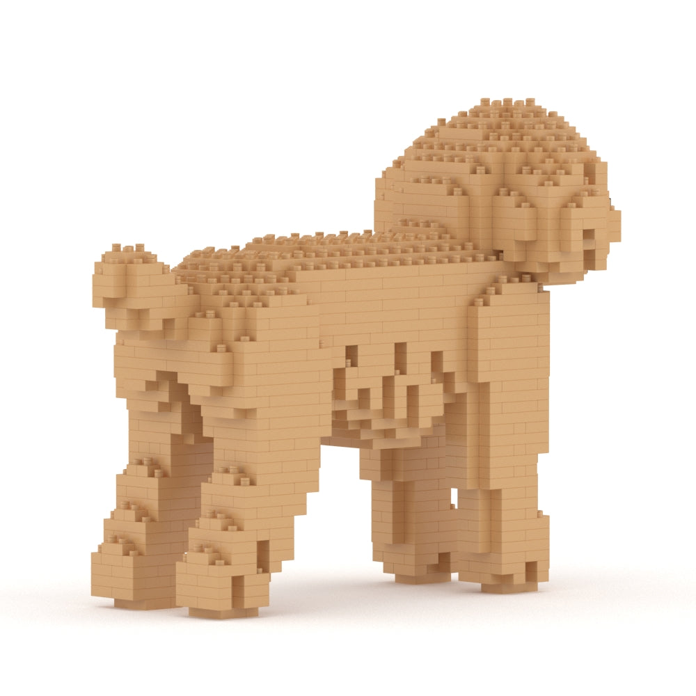 Chien Caniche Nain beige