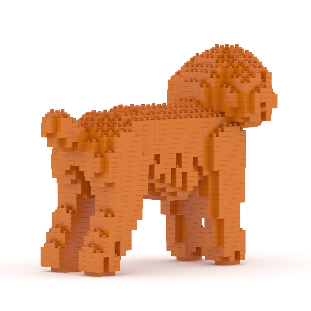 Chien Caniche Nain roux