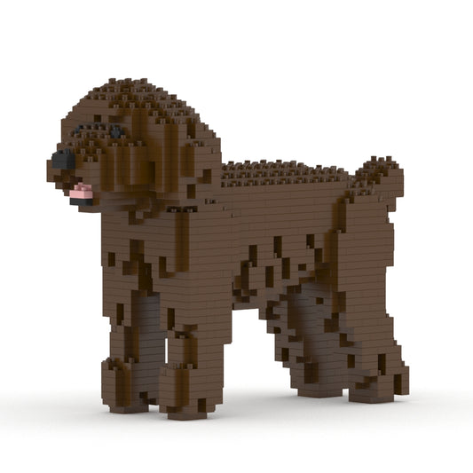 Chien Caniche Nain marron