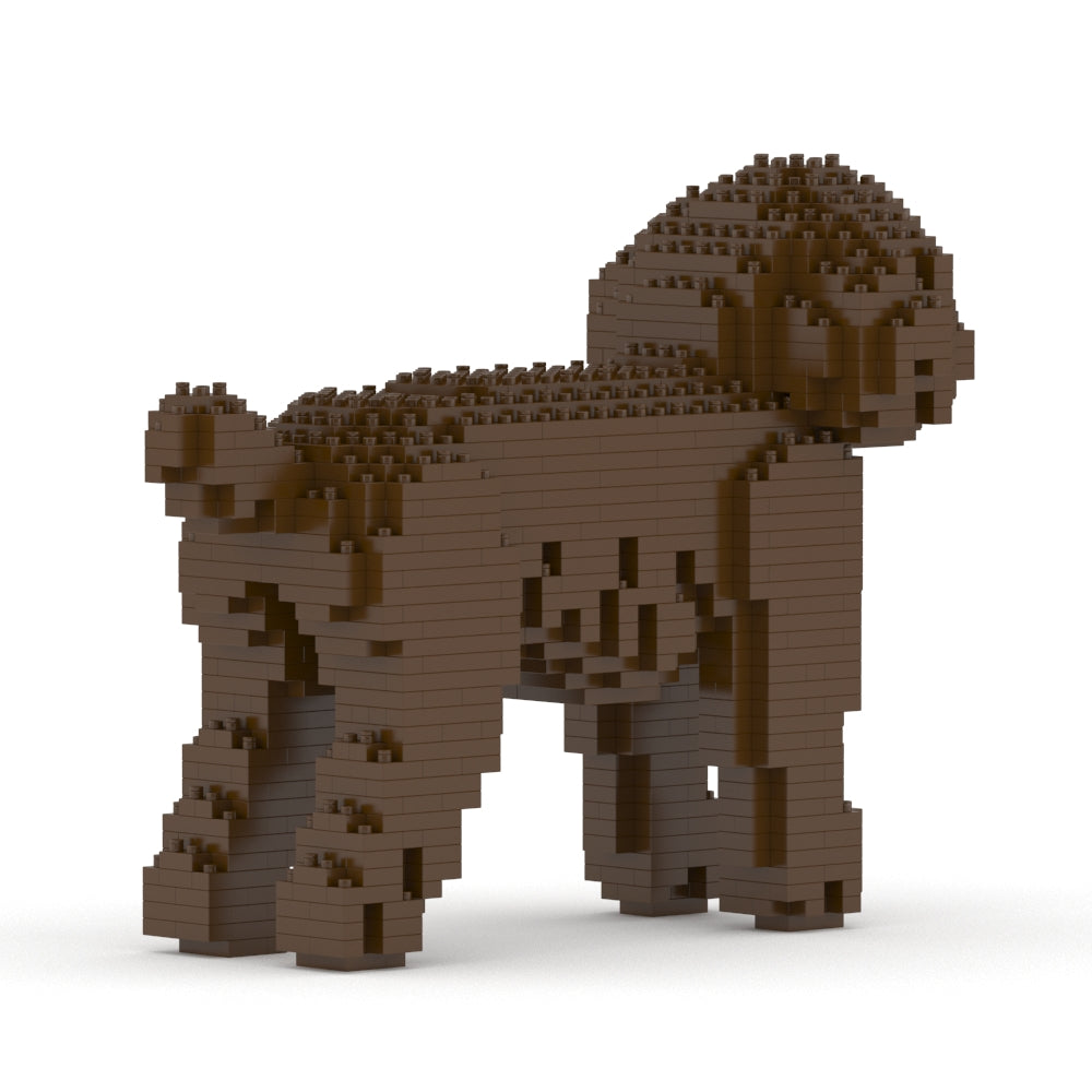 Chien Caniche Nain marron