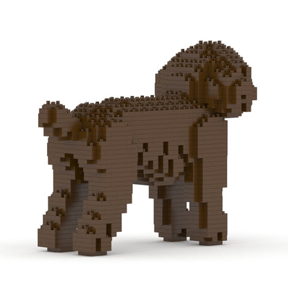 Chien Caniche Nain marron