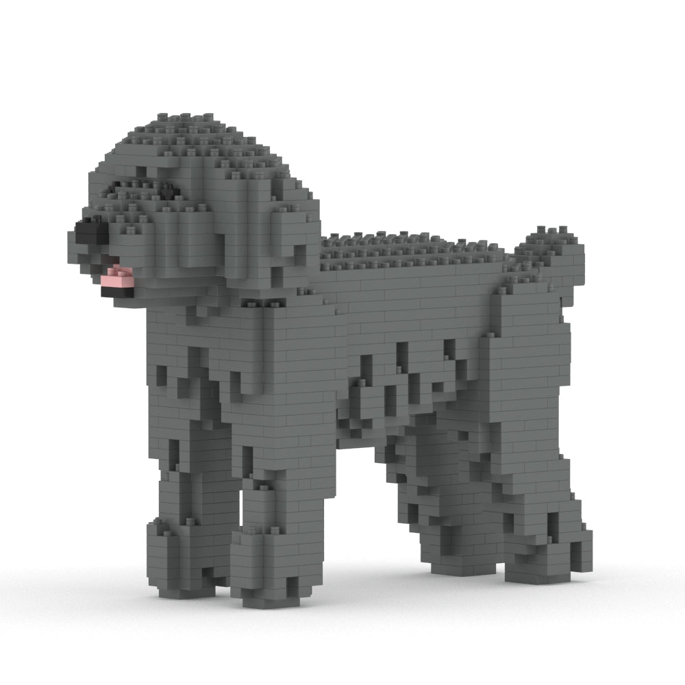 Chien Caniche Nain gris