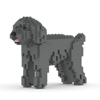 Chien Caniche Nain gris