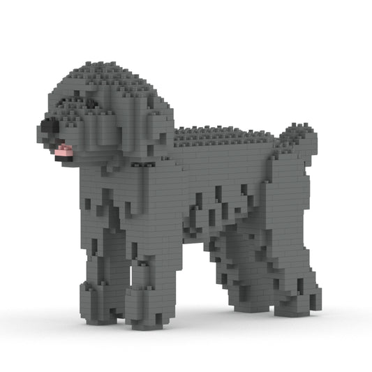 Chien Caniche Nain gris