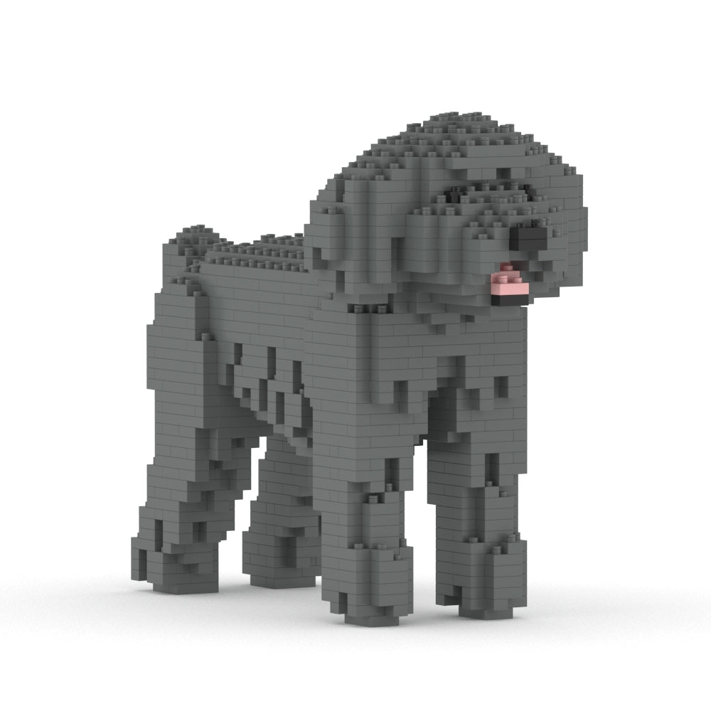 Chien Caniche Nain gris