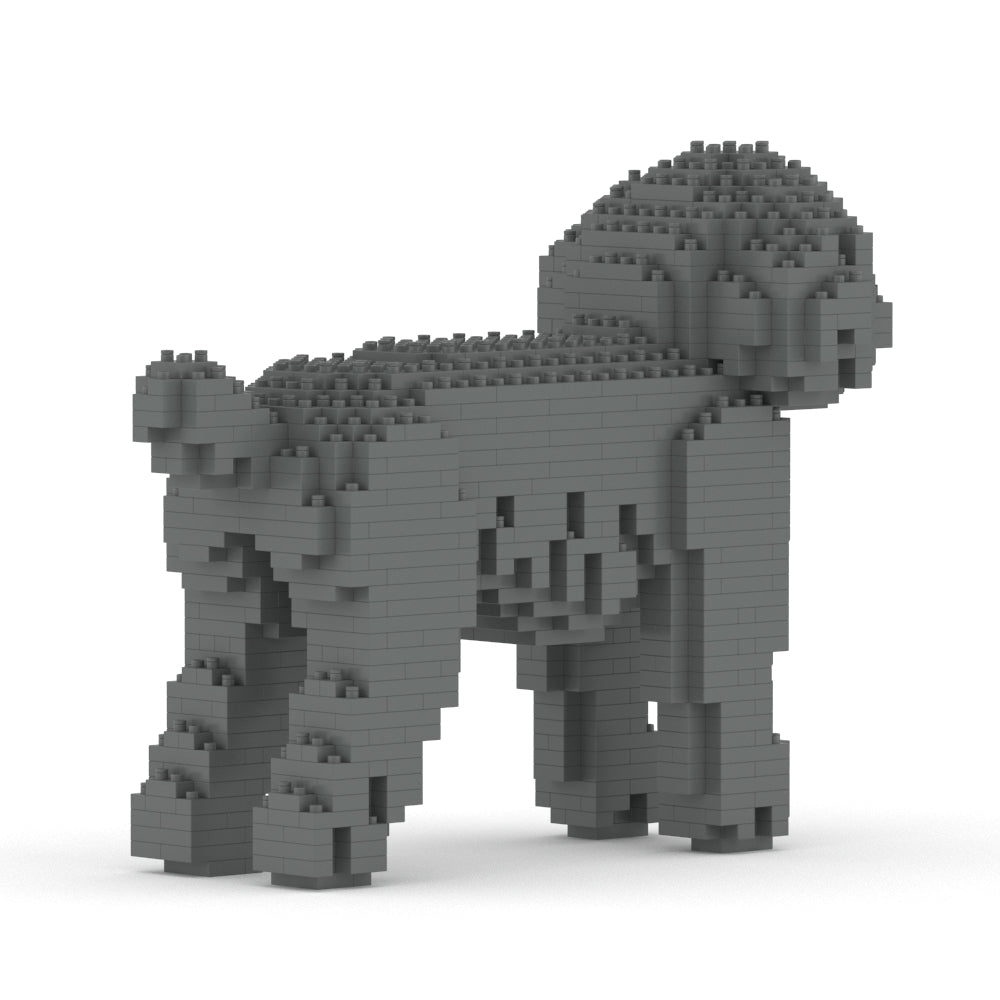 Chien Caniche Nain gris