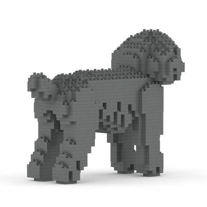 Chien Caniche Nain gris