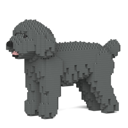 Chien Caniche Nain gris