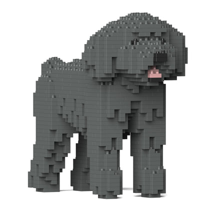 Chien Caniche Nain gris