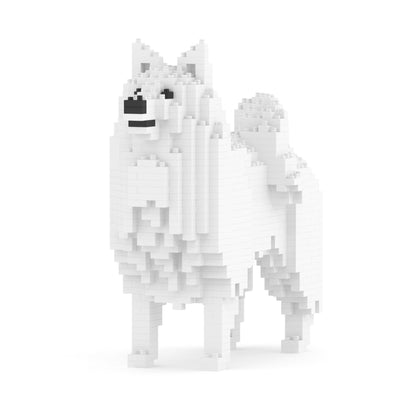 Chien Spitz Japonais