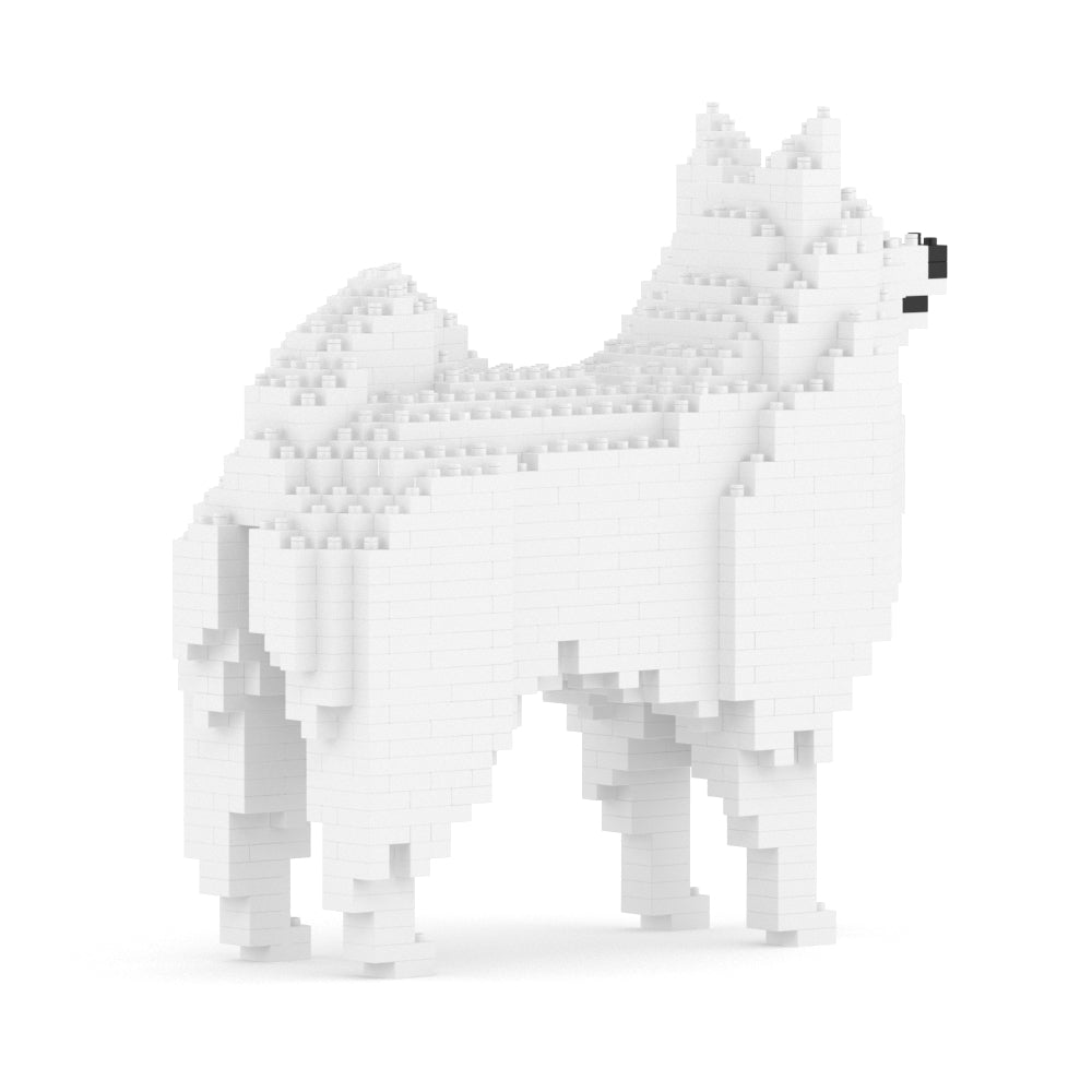 Chien Spitz Japonais