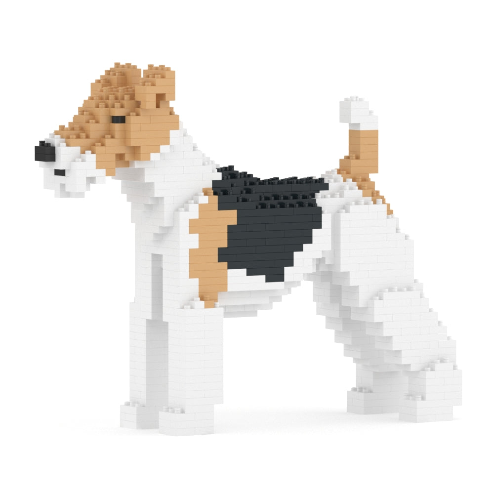 Chien Fox-terrier à poil dur