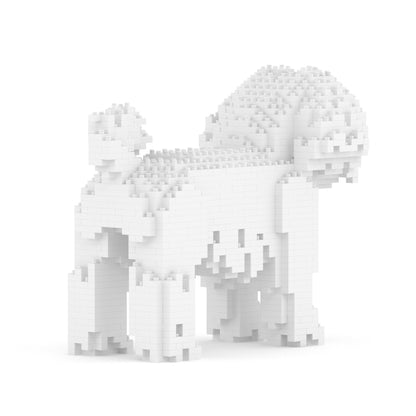 Chien Bichon Maltais
