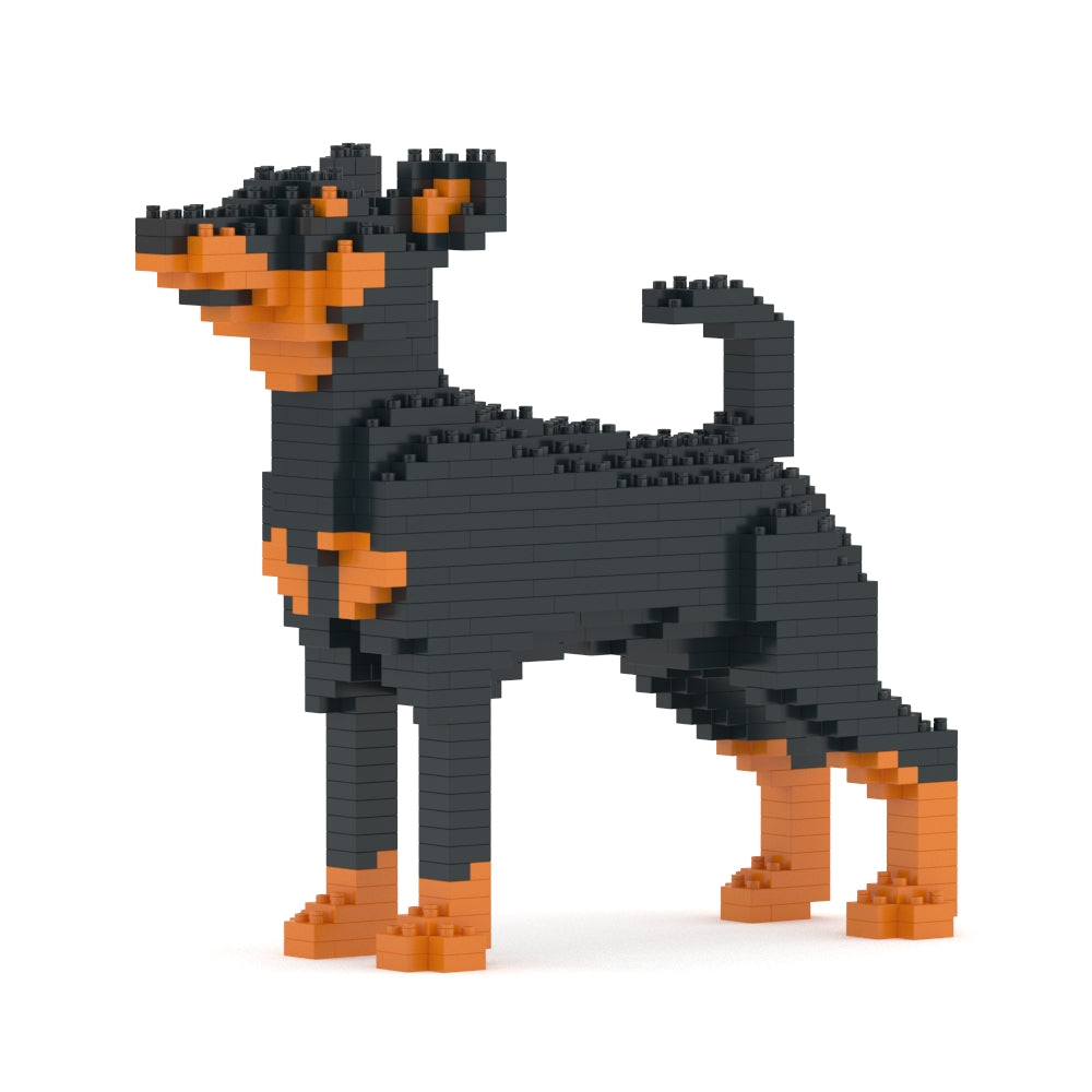 Chien Pinscher Nain noir
