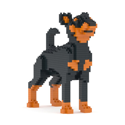 Chien Pinscher Nain noir