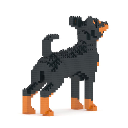 Chien Pinscher Nain noir