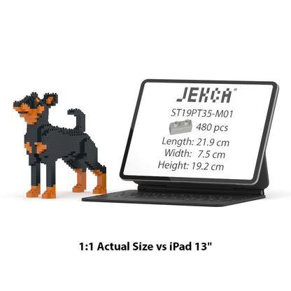 Chien Pinscher Nain noir