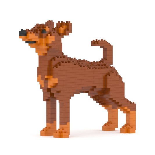 Chien Pinscher Nain marron