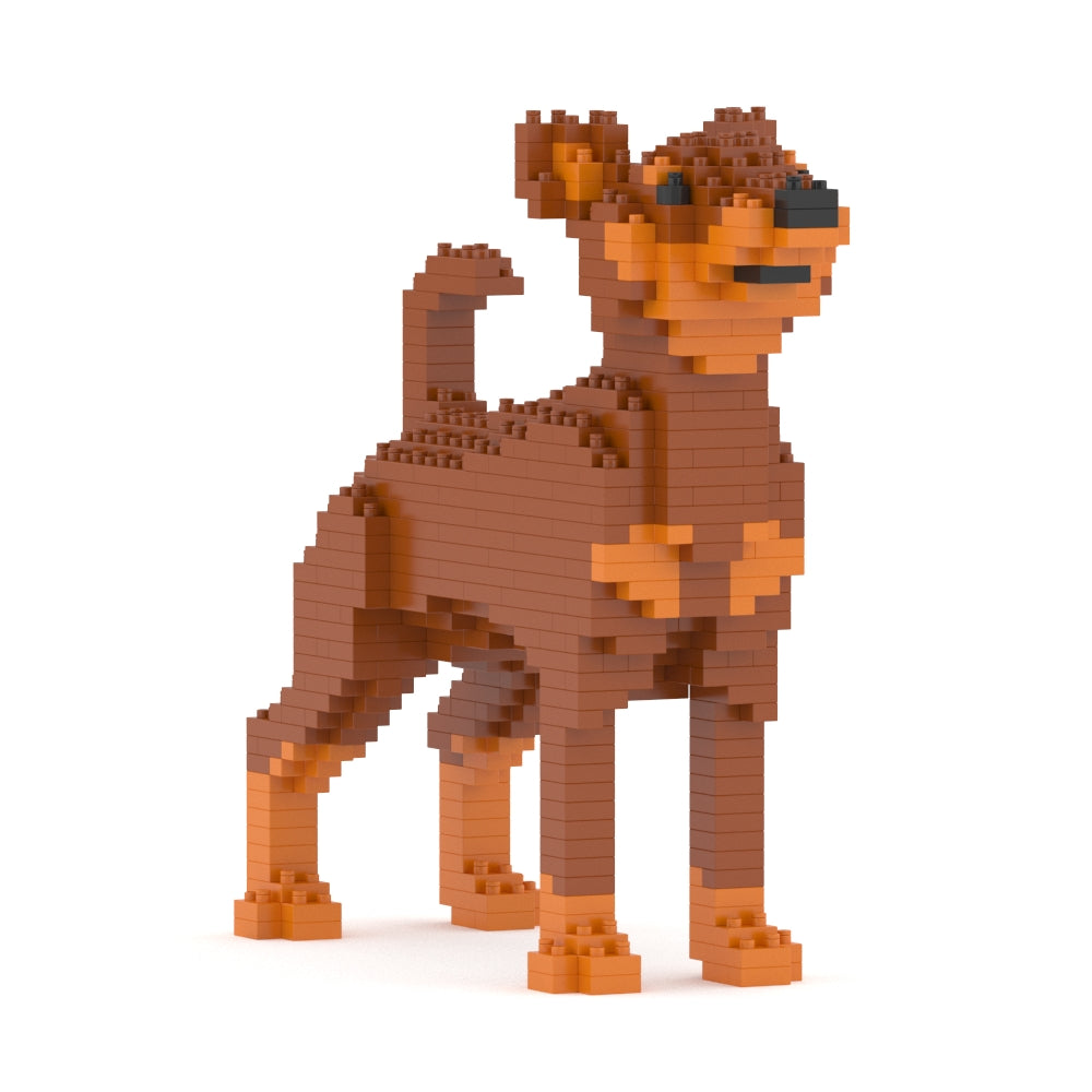 Chien Pinscher Nain marron
