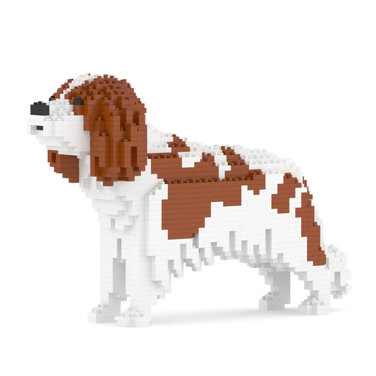 Chien Cavalier King Charles Spaniel taches marrons