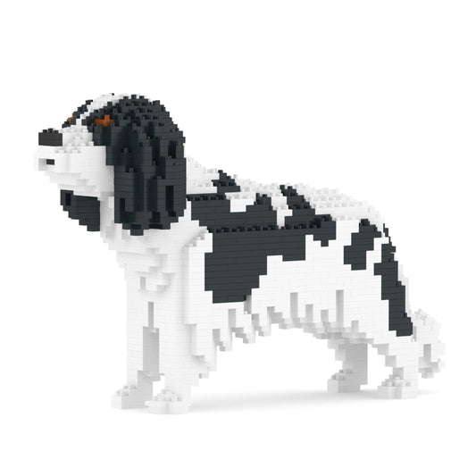 Chien Cavalier King Charles Spaniel taches noires