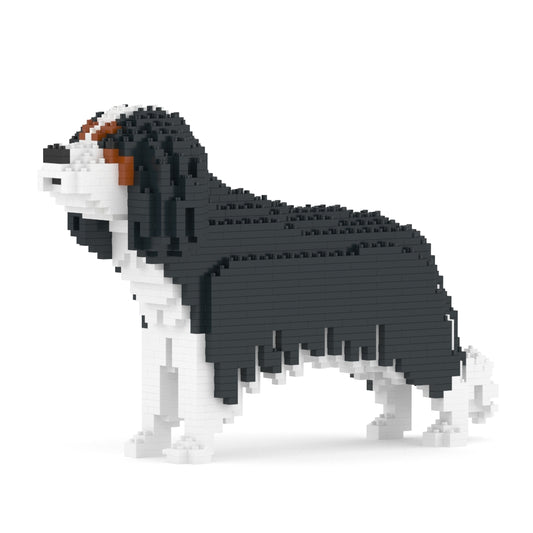 Chien Cavalier King Charles Spaniel noir