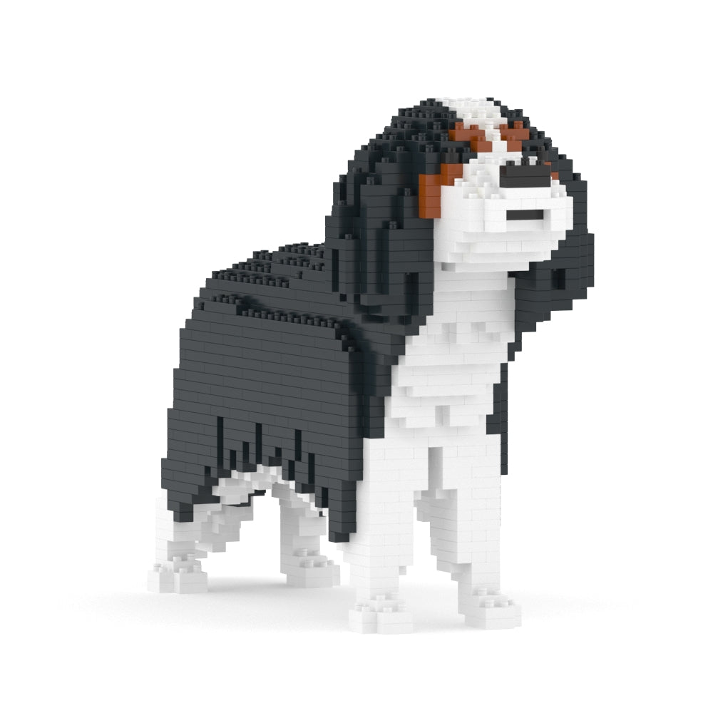 Chien Cavalier King Charles Spaniel noir